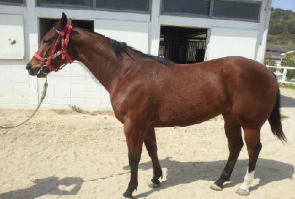 ��������� ����