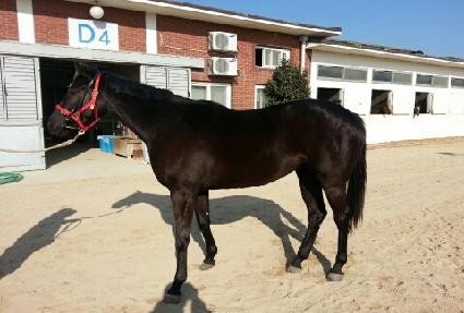 ������ ����