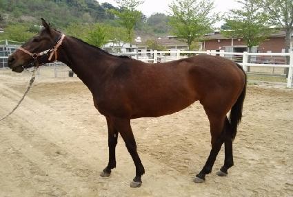 ������ ����