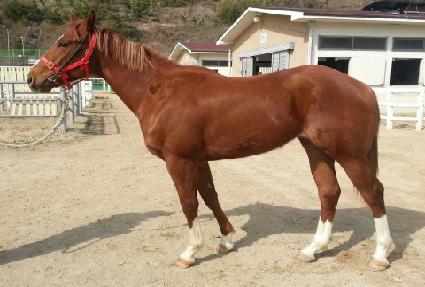 ��Ŀ���� ����