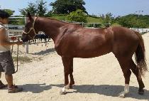 �Ƹ��ٿ��ູ (AREUMDAUN CHUKBOK) ����