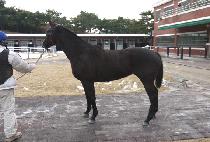 �赵�� (KWAEDO BIMA) ����