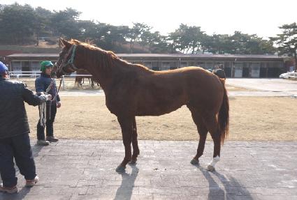 �ް��� ����