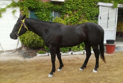 ���Ѻ�� ����