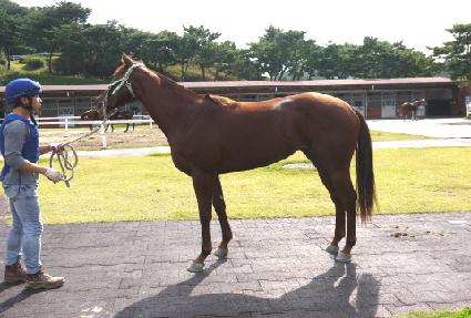 ���а��� ����