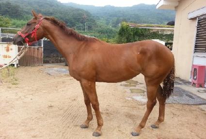 �����̿��� ����