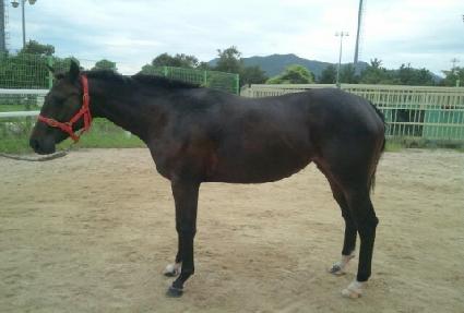 Ĺ��� ����