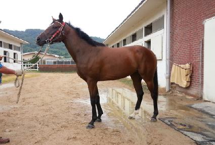 ���Ҵ뵵 ����