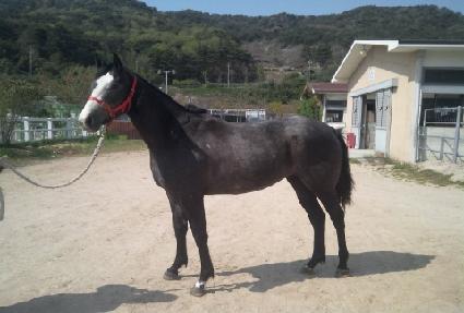 ������帲 ����