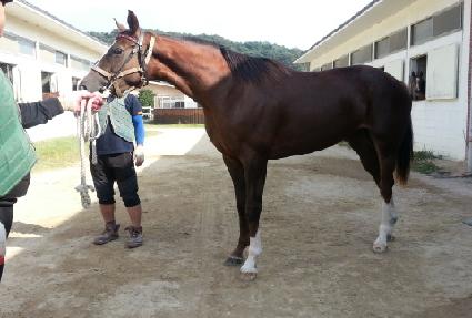 ûǳ���� ����