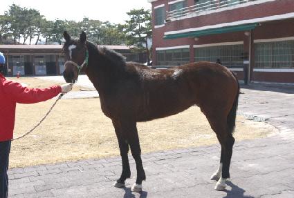 ���۷����� ����