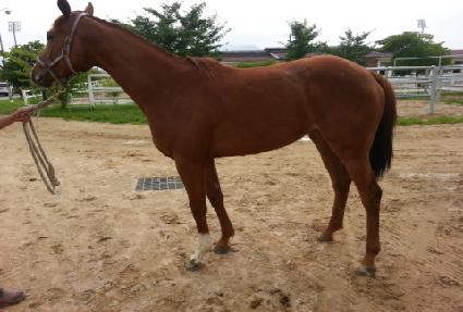 ��νô� ����