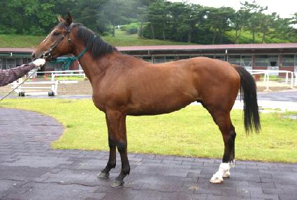 �����Ʋ�� ����