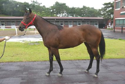 ���ҵ� ����