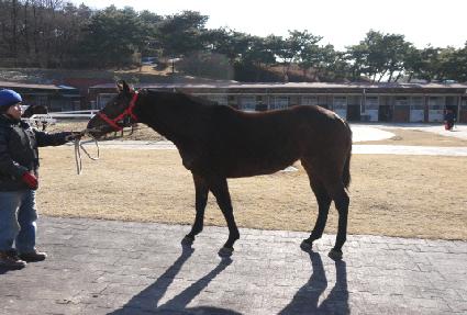 ������ ����