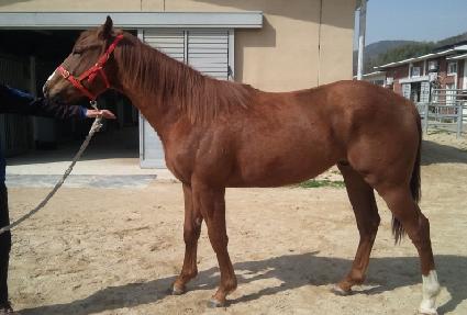 �����ְ� ����