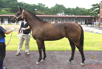 ������Ʈ�� ����