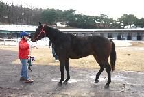 LEAVE THE CAMP picture