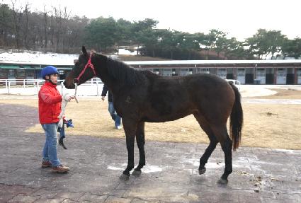 �����ķ�� ����