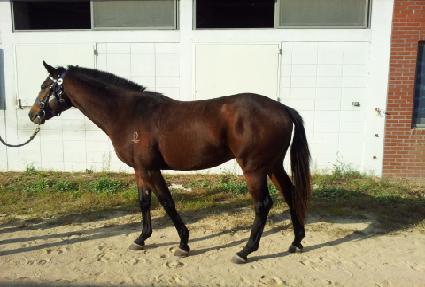 ���ο��� ����