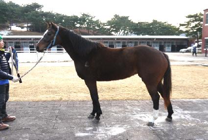 ���� ����