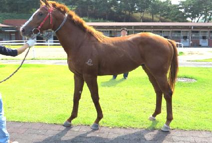 ��Ƽ���̼� ����