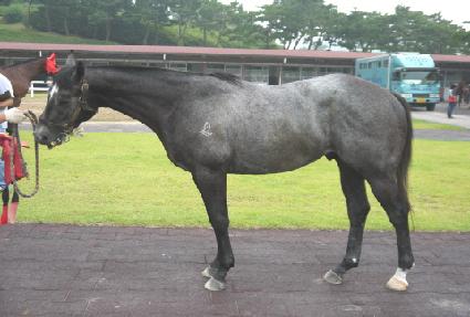 �ƶ���ķ�� ����