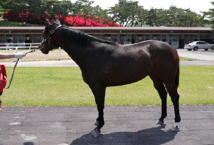 �����Ͼ� ����