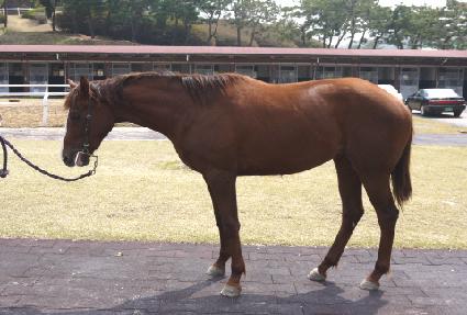 ������ ����