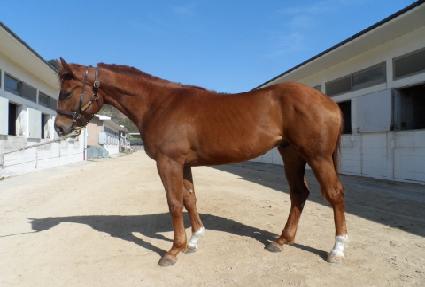 ���Ͼ��� ����