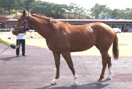 �ְ���� ����