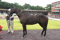 �ݺ���� (GEUMBIT BISANG) ����