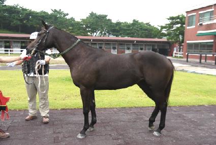 �ݺ���� ����