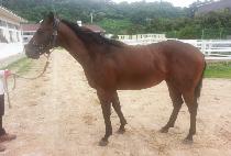 ���ε� (HAENGUN ROAD) ����