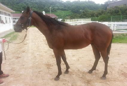 ���ε� ����