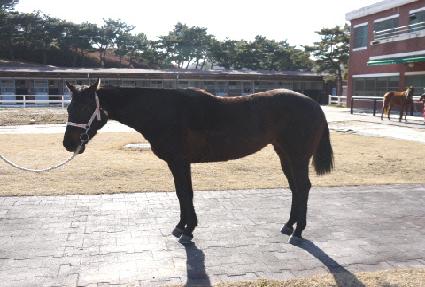 �������� ����