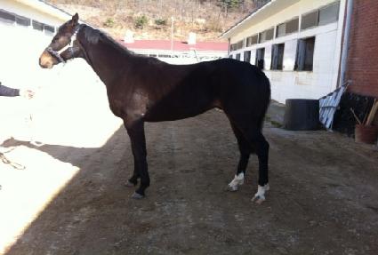 ����� ����