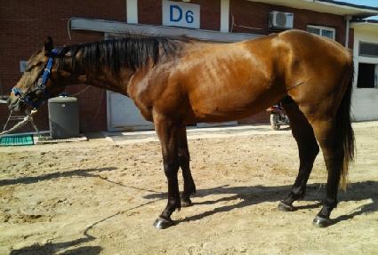 �񸮾Ѹ��� ����