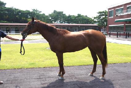 �����̽�Ÿ ����