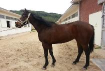 õ������ (CHEONJI GYOTAE) ����