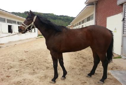 õ������ ����