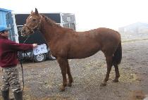 ���Ȧ�� (SANGSEUNG HOLIC) ����