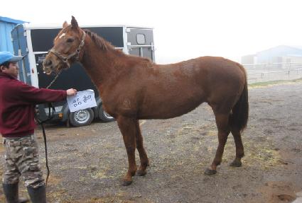 ���Ȧ�� ����