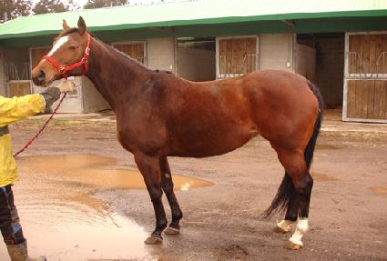 �ǹ��Ŀ�ƾ ����