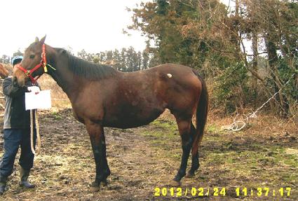 ������Ʈ ����