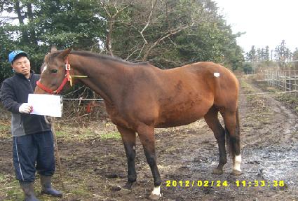 ��ġ�� ����