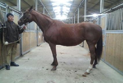 ŷ��� ����