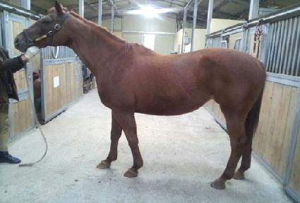 Ÿ�ڳ� ����