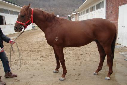 ���̾��� ����