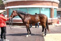 ��õ (GANGCHEON) ����